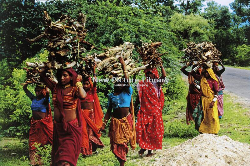India Independence Day - August 15th
