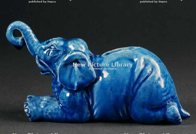 All about the elephants