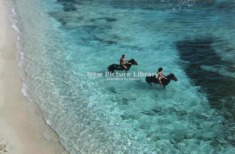 Vacations, a dream...