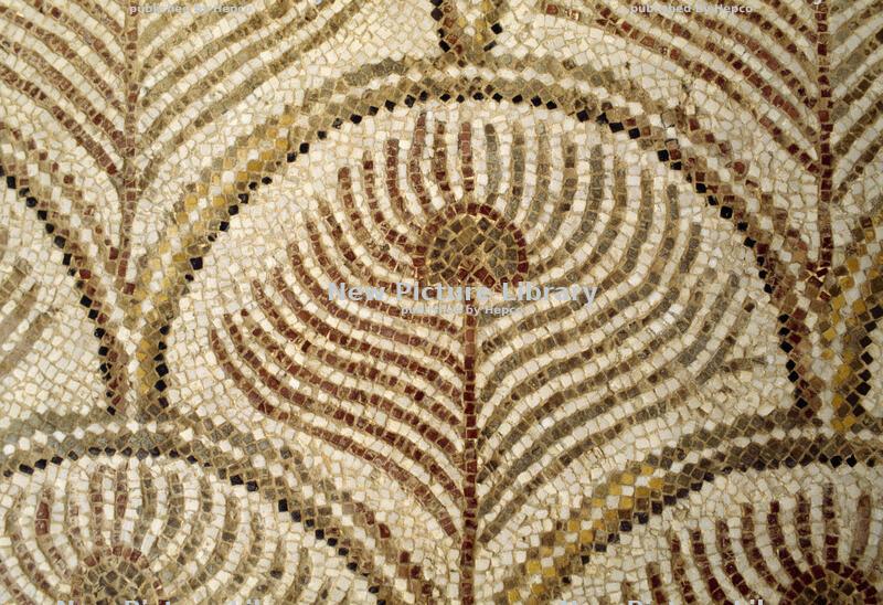 Feathers - Fashion & others