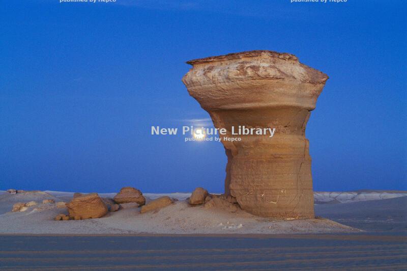 The  First Full Moon of Spring. The Pink Moon