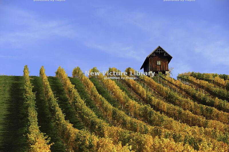 Styria Wine Road