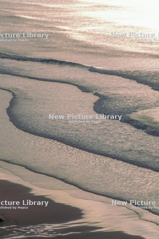 Waves