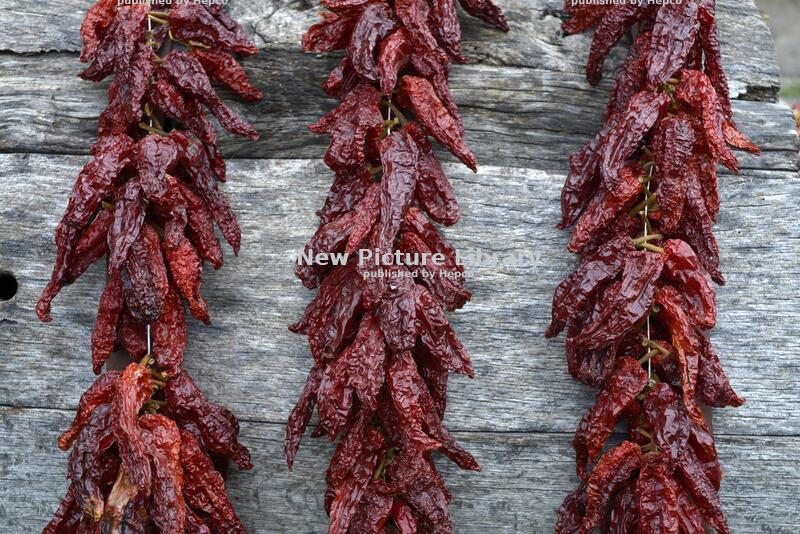 A Toast to Tradition: Italian Cuisine Joins UNESCO's List