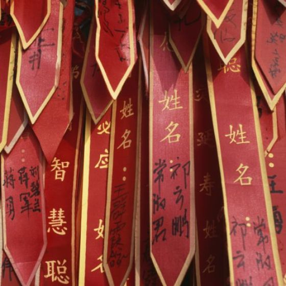Buddhist prayer ribbons around the fence of one of the ancient pines in Jietai temple, Beijing, China